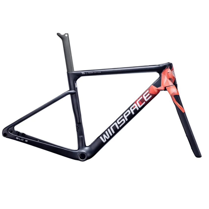 Winspace SLC 5.0 Carbon Road Frameset