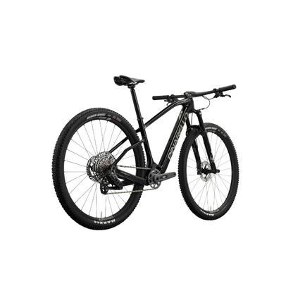 PINNARELLO XC HARDTAIL